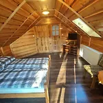Koniczynka 3* Ściegny