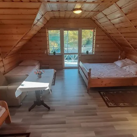 Koniczynka Guest house *