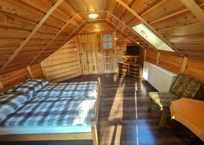 Koniczynka 3* Ściegny