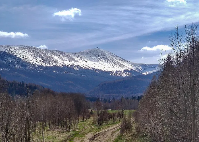 Koniczynka Gæstehus Ściegny